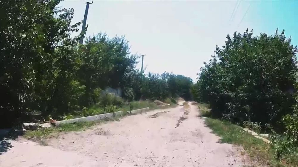 ������� ������ �������