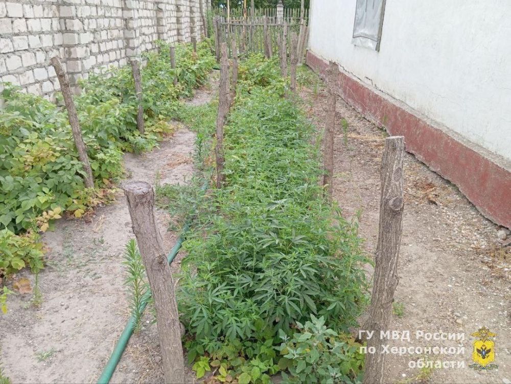 ��������������� ���������� ������� ���������� ��������� ������� � ������ ����������� ������