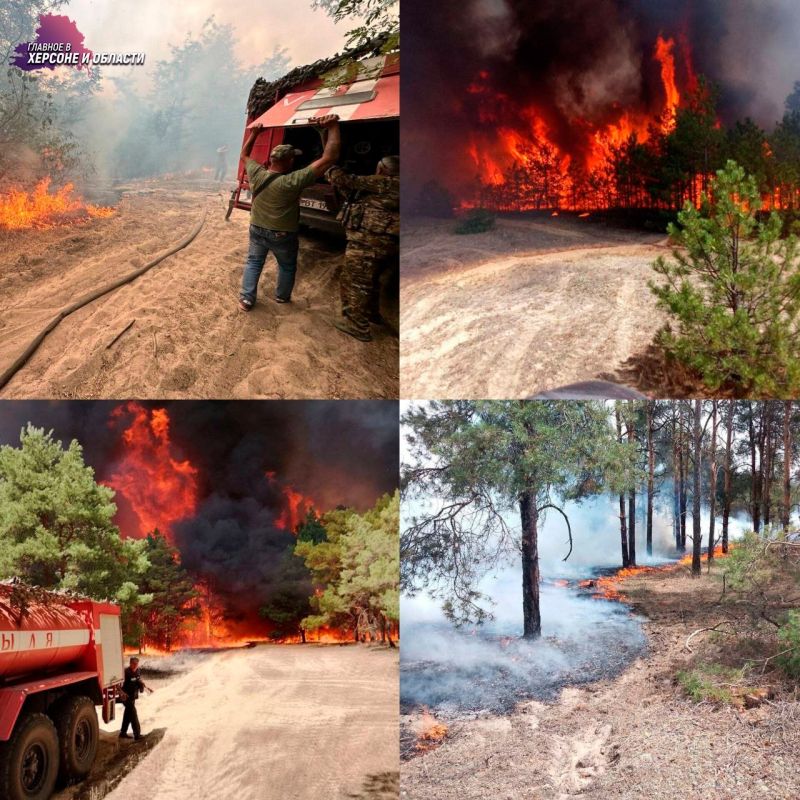 �� ��� ��� ������������� ����� 10 ������� �� ���������� ��� �� ���������������� ������