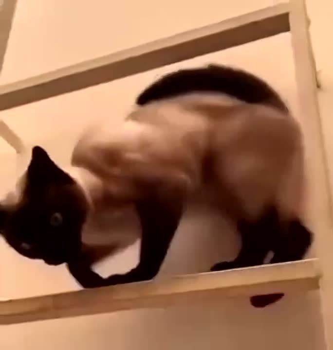 ��������� ������� � ��������