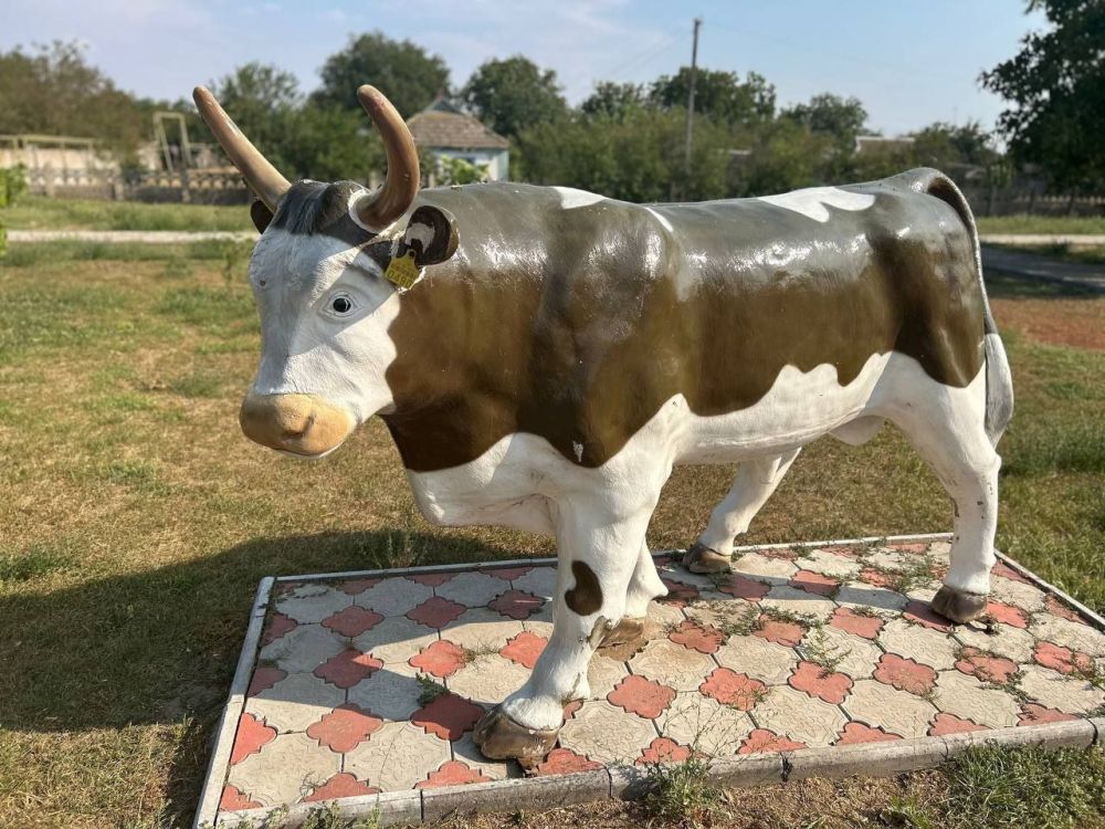 �� � ������� ��������� �� ����������� ������� ����� �����������