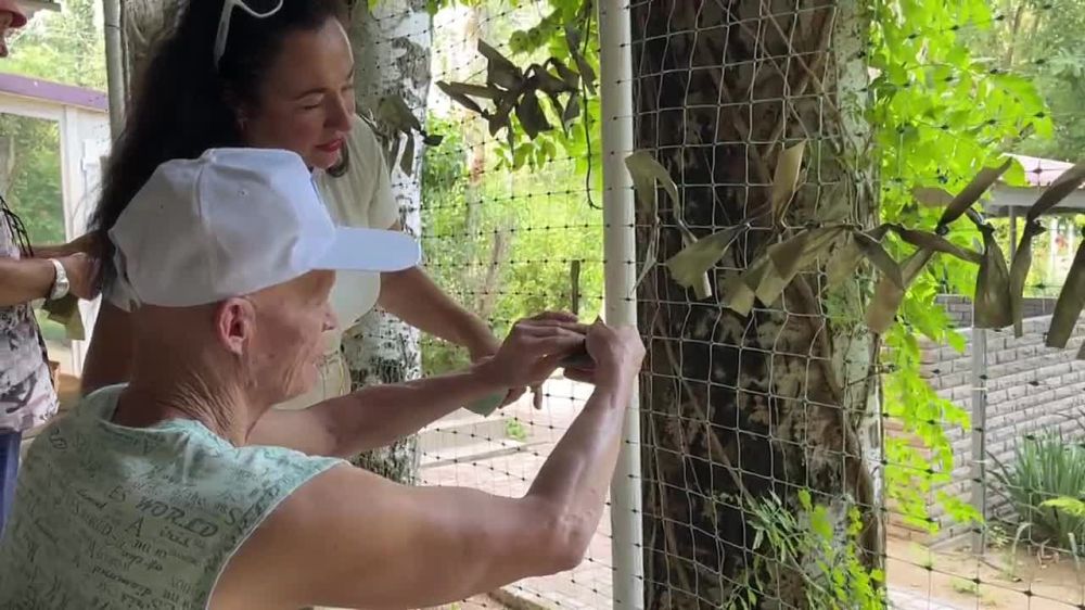 "���������� ������������" �� ����� #�������� � ���������� ������� ���������� ���� ������ - ������