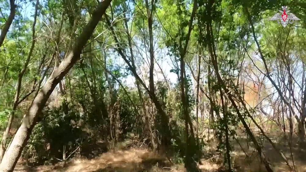 ������������-���������� ���������� ����� ���������� ��������� ��� �� ������������ ������