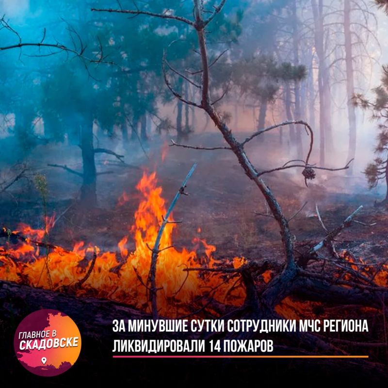 �� �������� ����� ���������� ��� ������� ������������� 14 �������