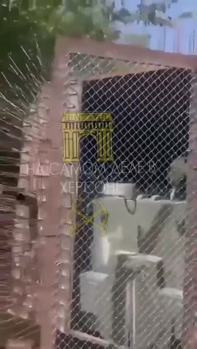 ��������� ��������. ����������� #����������� #������������������� #������ #kherson ��� ��� | ��� ��� | ��� ����