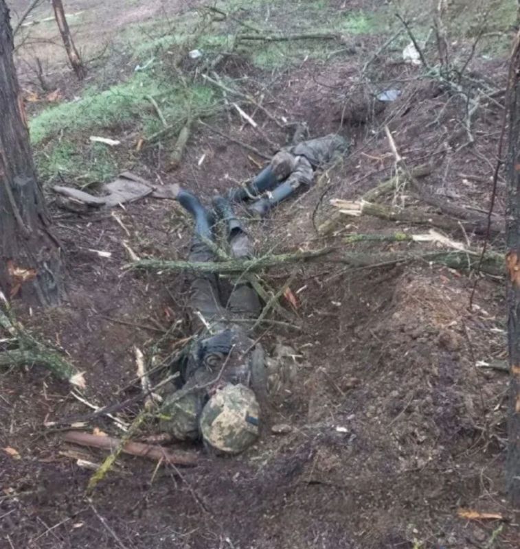 ���������� ������ ������� ��������� ��� �������� ��� ��������� �����