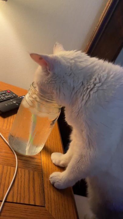 ��������� ����!. ��������-����� ���������� �������