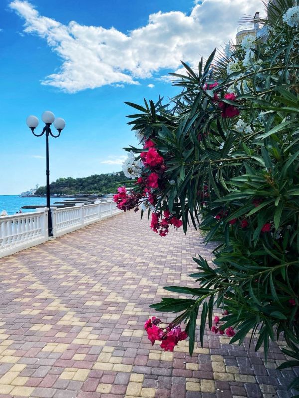 ���� ������ �� �����! ������ ���� �������� ��������!