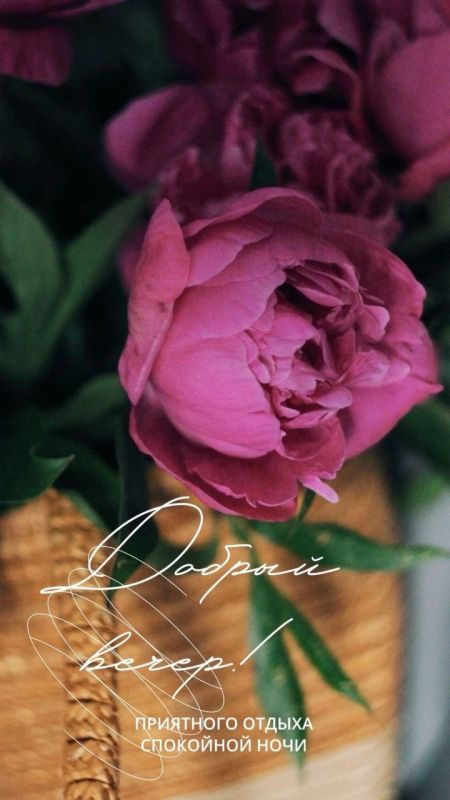 ������ ����. ������ �������� �� ����� ����, ���� � ������� � ������� ������ ����� ���������. ��� �������. ����������� �� +21 ����� �� +34 ���