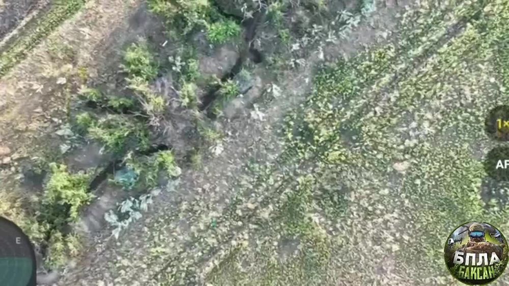 ������� ������ ������ ���� ������