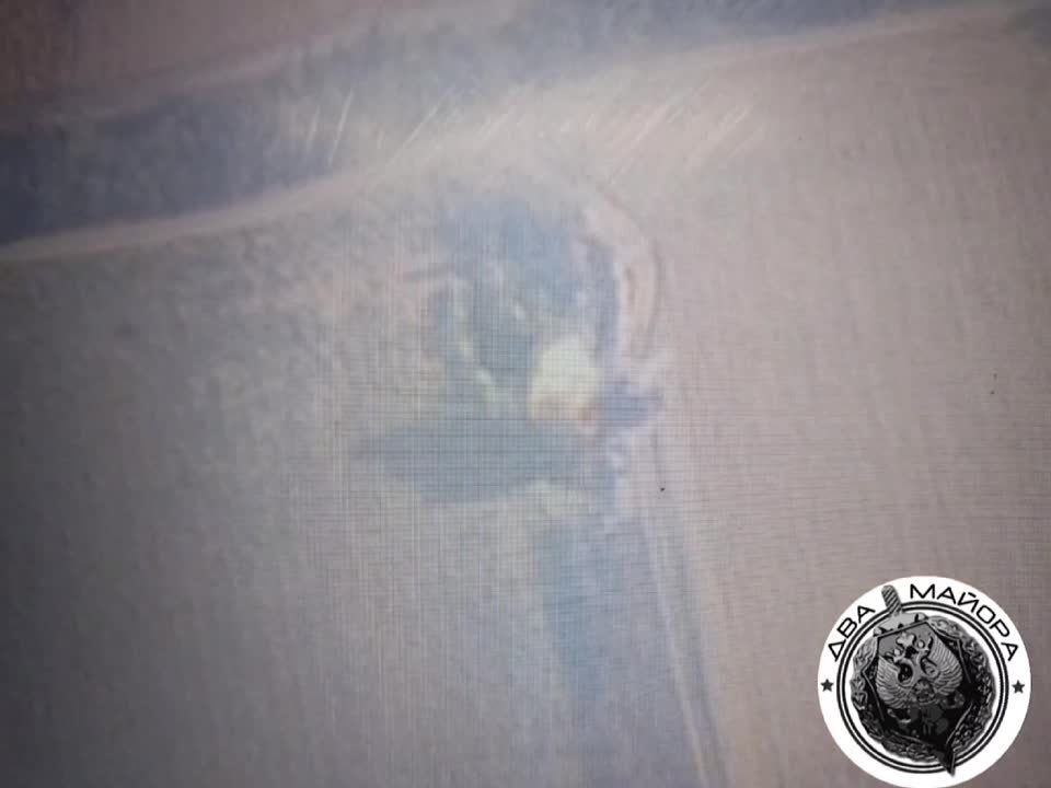 ��� ������: #������ �� ���� 20 ���� 2024 ����