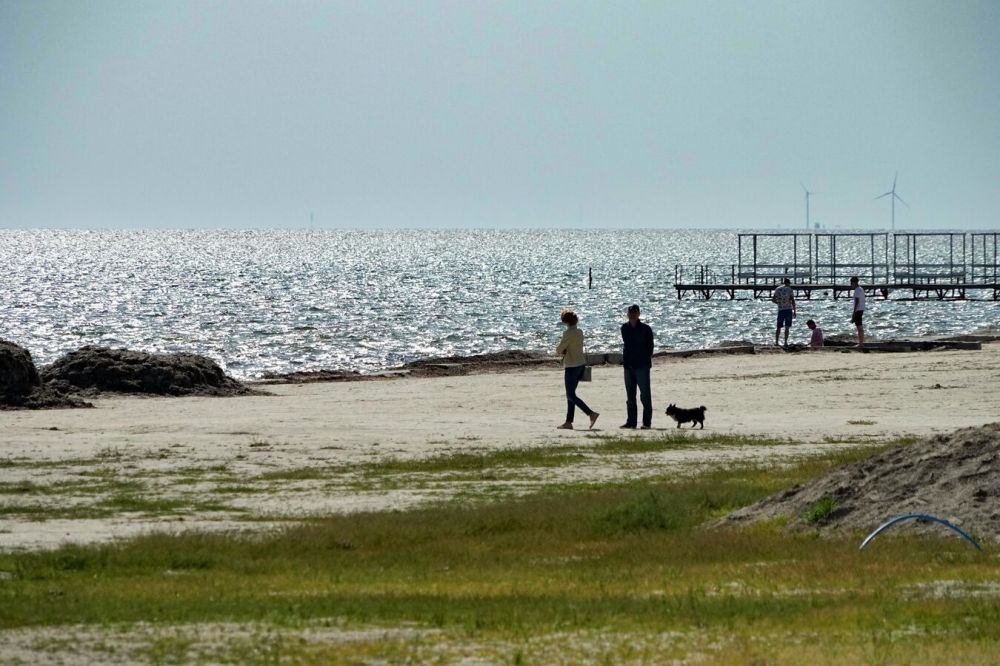 ������: � ���������� ������� ��������� ��������� ������ �� ����������� �����