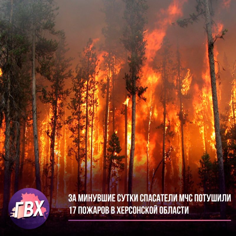 �� �������� ����� ��������� ��� �������� 17 ������� � ���������� �������