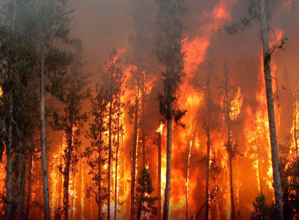 �� ��������� ����� ��������� ��� ���� �������� 17 �������, ������� �������� � ���������� �������