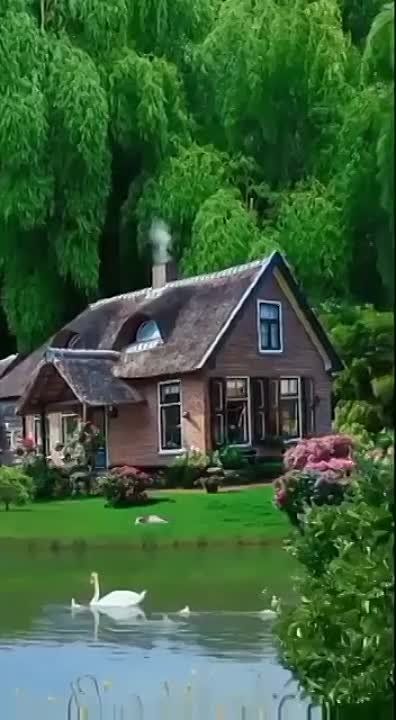 �� ���������