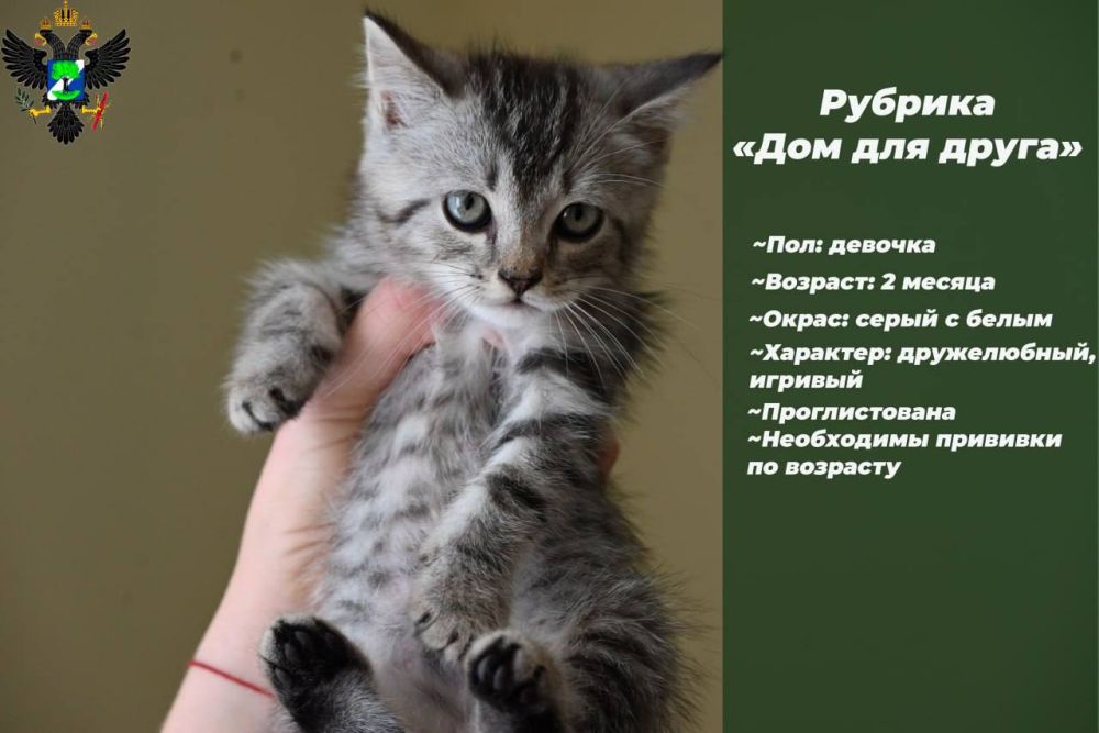 ���� ��� �����: ����� ������� ���������� ������� � ������ � ��������