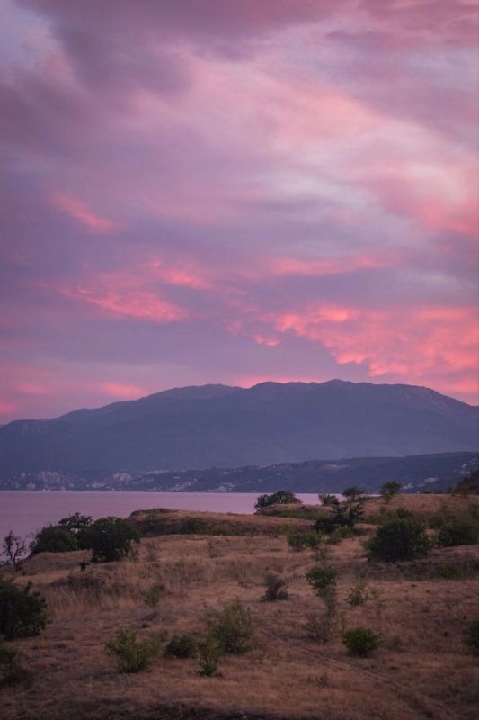 ���� ����������� ������� ��� �������