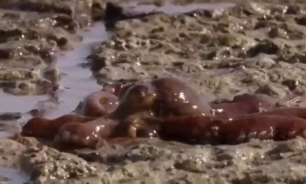 ����� ������ ����� ��� �� �����!