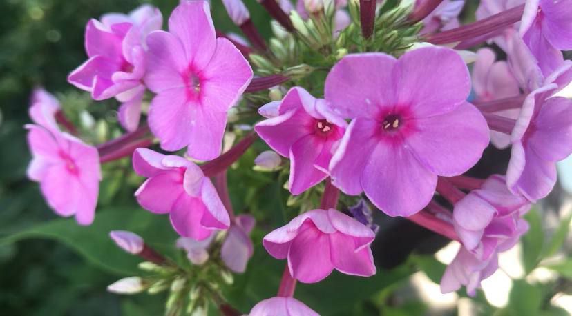 � ������ �����, �����������!