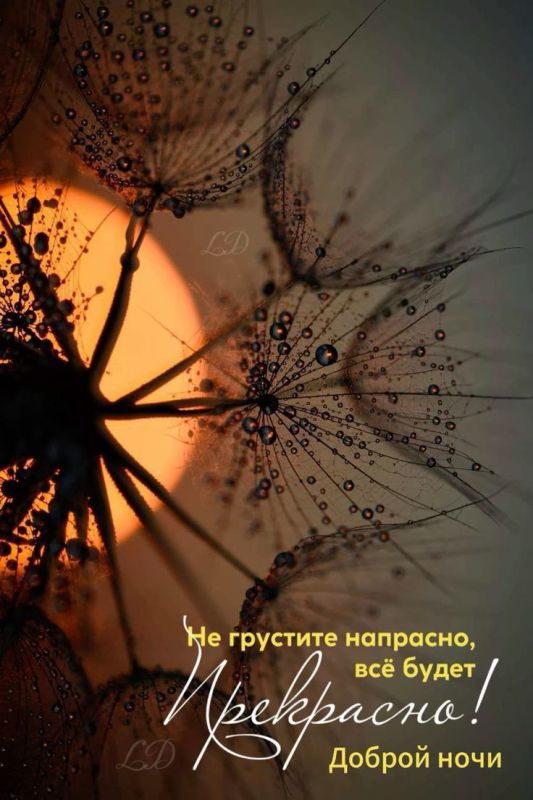 ������ ����. ������ �� ���������� ����� ��� ���� � ������� ����� ������� ��������. ���� � ������� ����� ���� ����� c ������. ����������� �� +23 ����� �� +30 ���