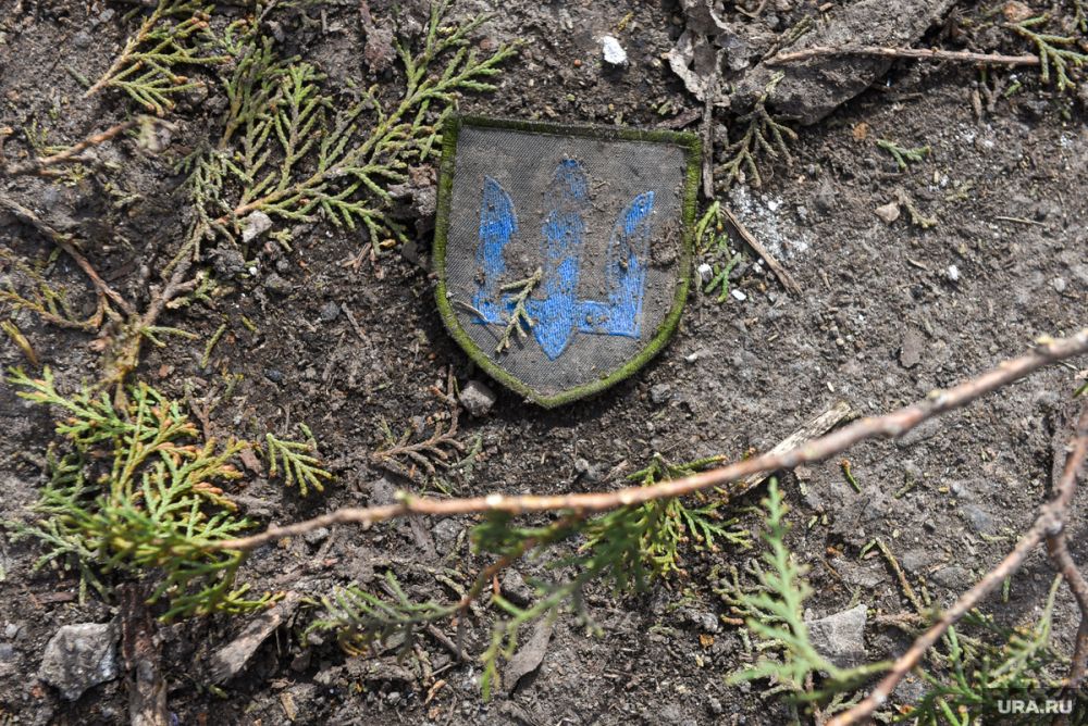 ��������� ��� ������ �� �������: � �������� ���������� � ������� ��� � �������