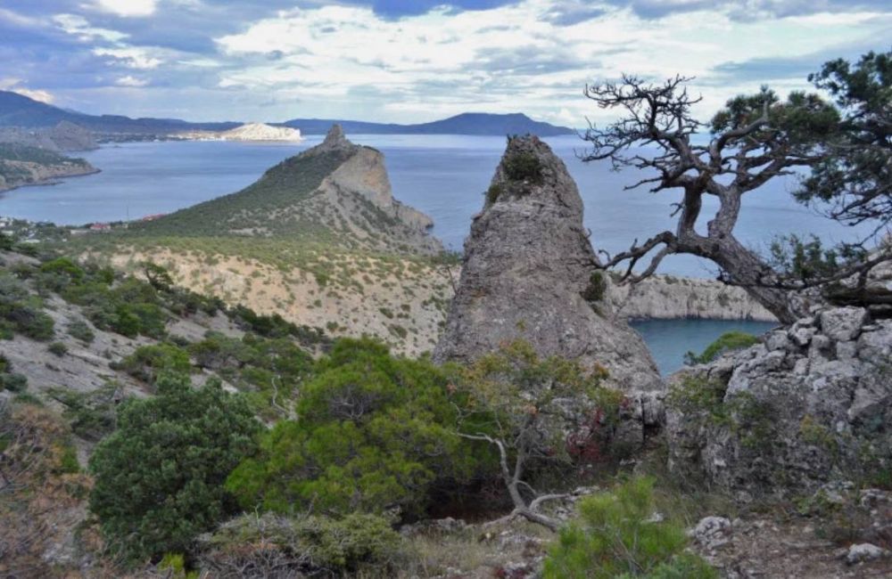 ����������� ������ ����� � ���� ����� ���������� ���������, �� ���� ����