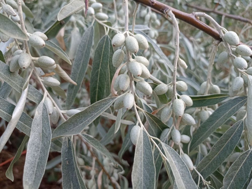 � ������ �����, �����������!