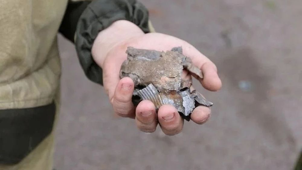 ������: ������� �������, ��� ���� ������ � ���������� �������� ��� ��� ��������