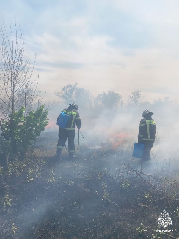 �� ������ ���� "������-���������� ����", 19 � 20 ���� �� ���������� ���������� ������� ����������� ������� ���������������