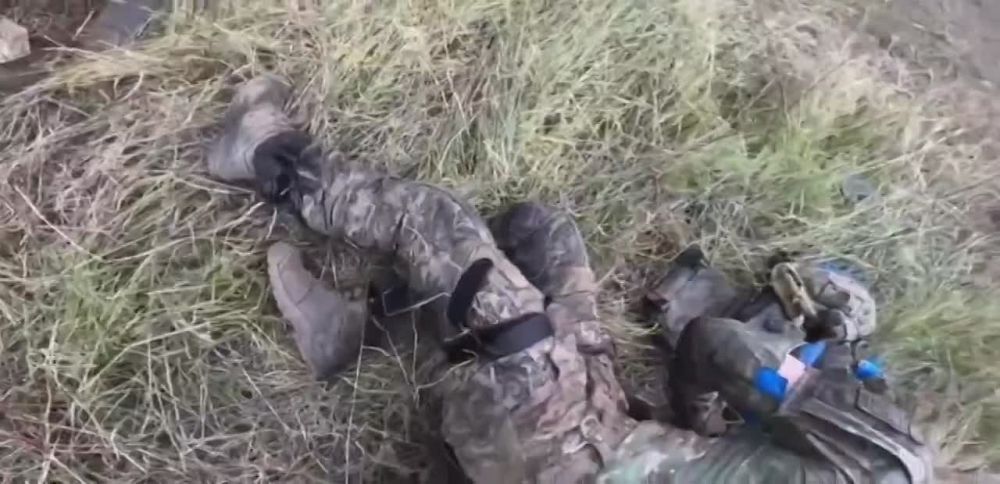 � ���������� ������ �� ���� ���������� ���������� �������������� ���� �������� ������ � ������� ��������������