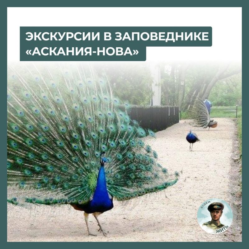 ��������� ����������� ����������� ��������-���� � ���������� �������