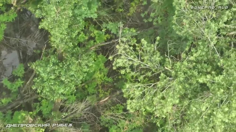 ��������� ����������� ����� "�����" ���������� �������� ��������� ���� �� �������������� (����) ����� ����������