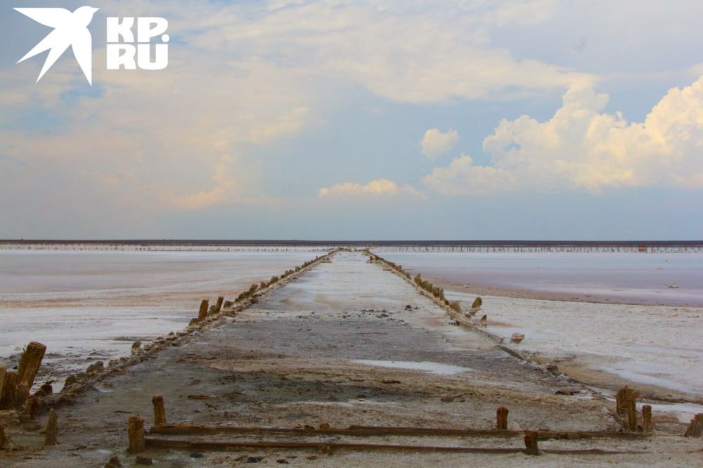 ������� ������ ����. ��� ������� ����� �� ���������� ������� � ���������� �������. ����������� � ���� ����������