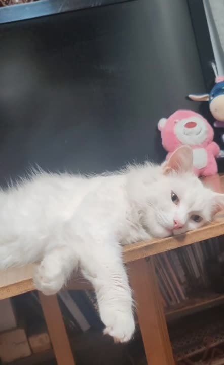 ����� ������� ��� ��� ���� ���������� ������ ����