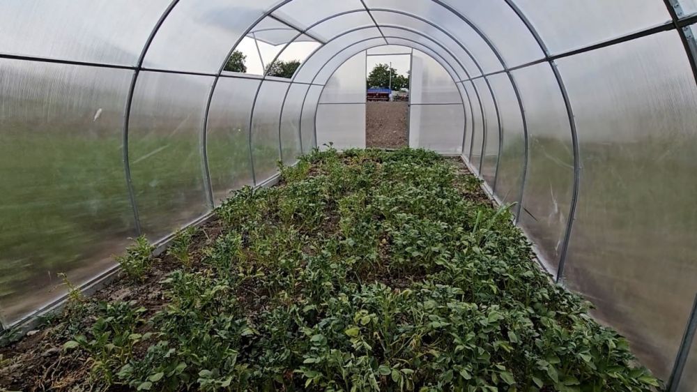 � �� ��� ������.... ������������ ���������: �������� ����� �������� (�����������) �� ��������� � ������������