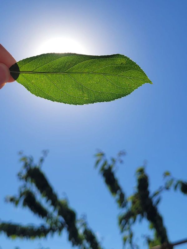 � ������ �����, �����������!