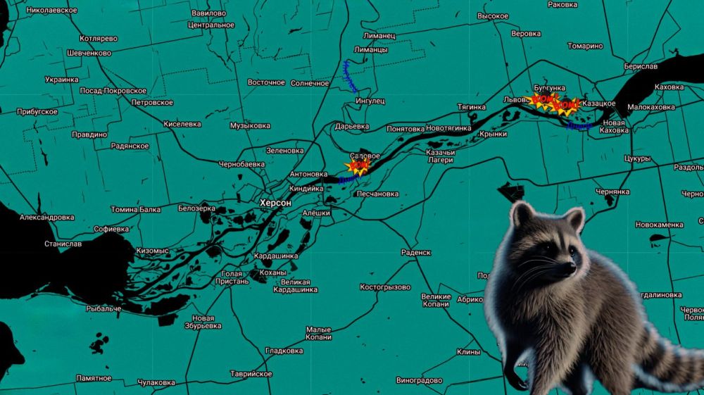 ���� �� �������: ������ ����! ����������� ���������� �� ���������� �����������!