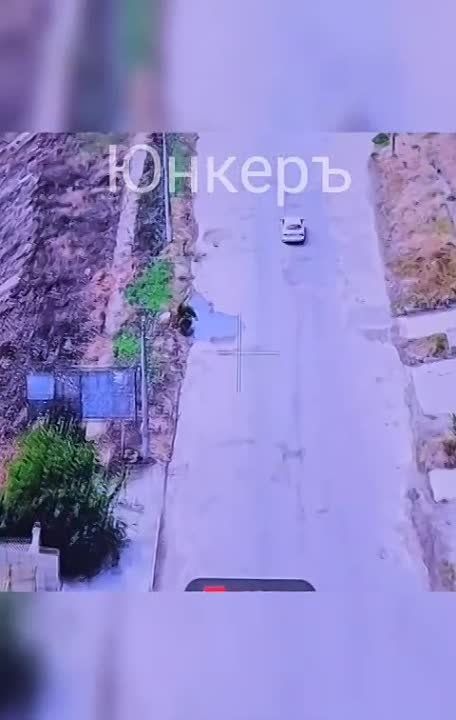 ����� � ������. ���������� �����������, ����� �� ������������ ������������� 18-� ������������� �����