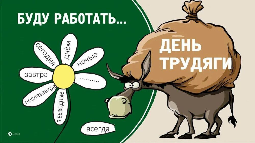 ��������� 22 ����. ���� �������