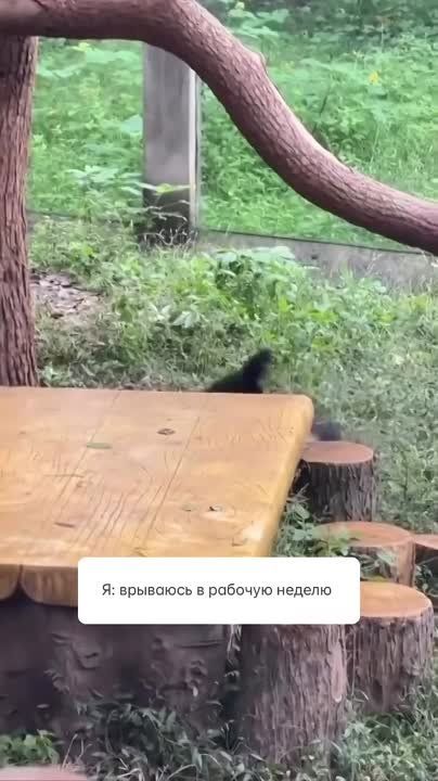 � �������������)