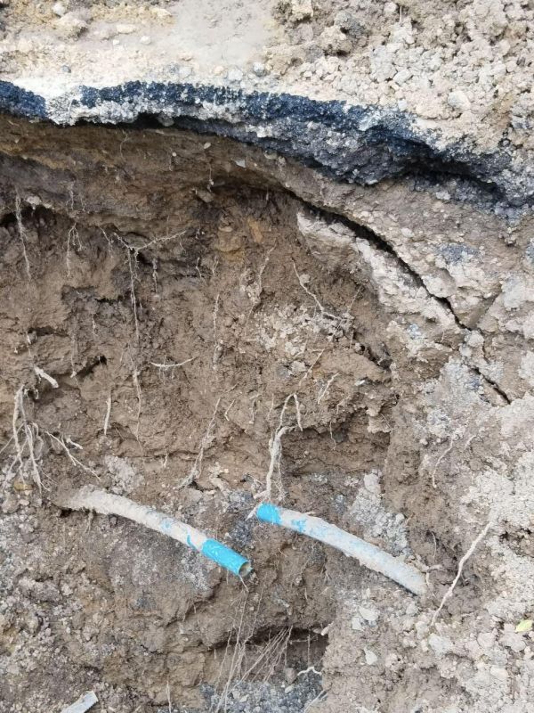 ��������� ����������� ��������������� ���������� � ������ �������� ���������� �������