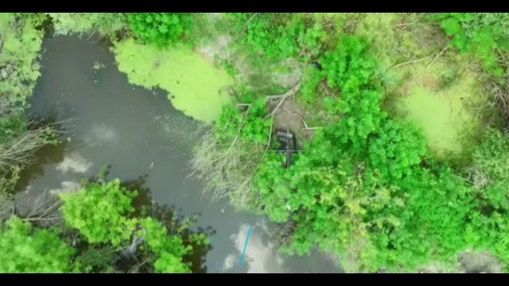 ������ ����� �������. �������������� 18-� ����� ���������� �����, ���������� �������� ������ �� �������, ������ ����� �� ����! ��������-����� ���������� �������