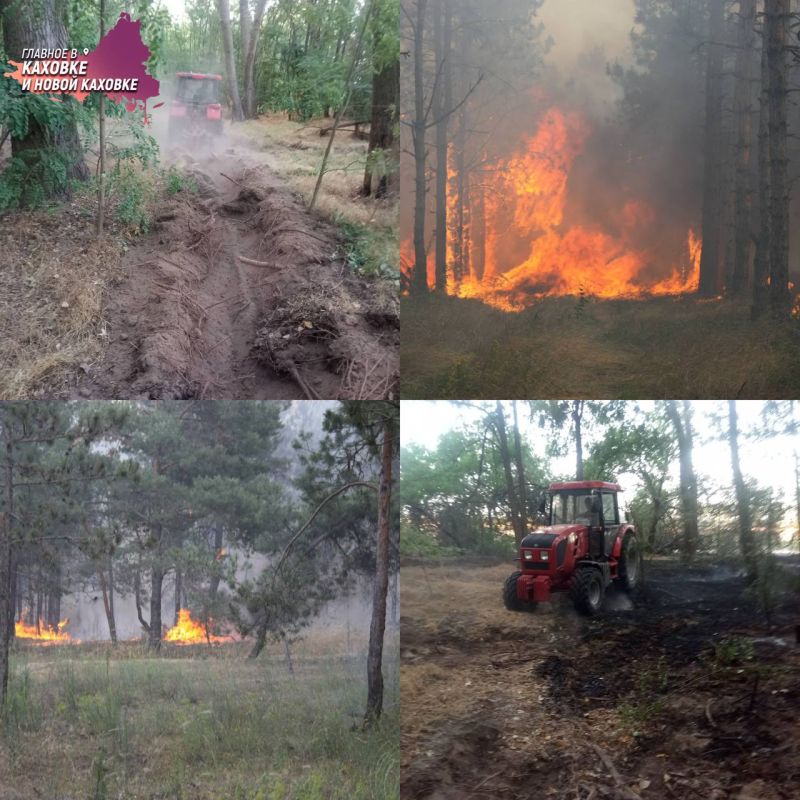 �� ������ �������� ���� ������������� ����� 30 ������� �� ���������� ����������� ��������������� ���������