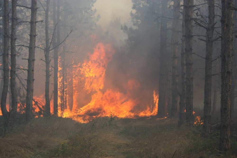 ��� �� ����������� ������������� ��������� ���������� ������ � ������� ��������