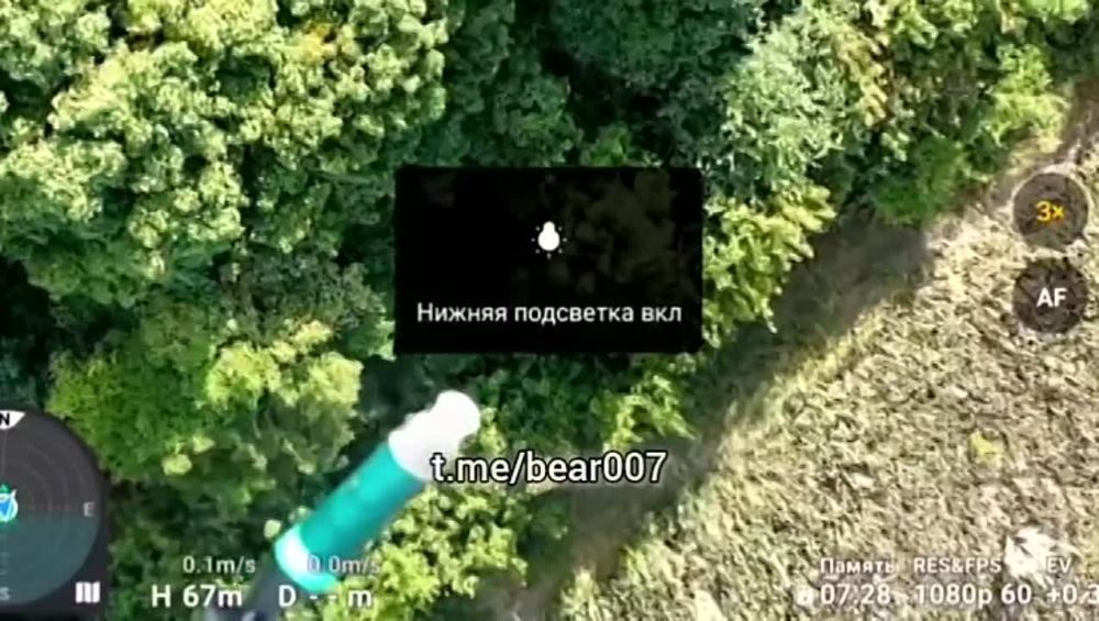 ����� ����� ������ ����� ������ �� ����������� �����������