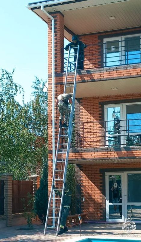 ���������� ��� ������ ������� �������-����������� ������� � ����������� ���� ���������� �������