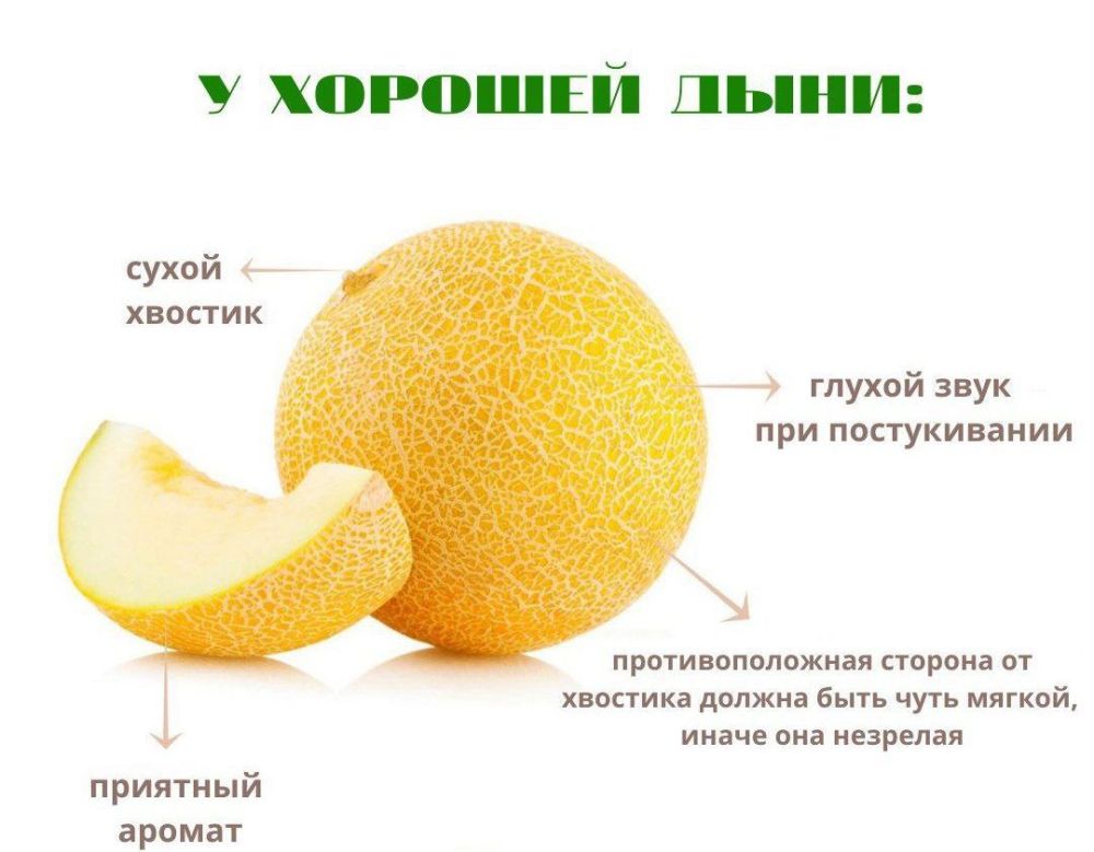 ���� �������� �����������������