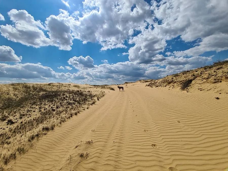 ������� �������� �����