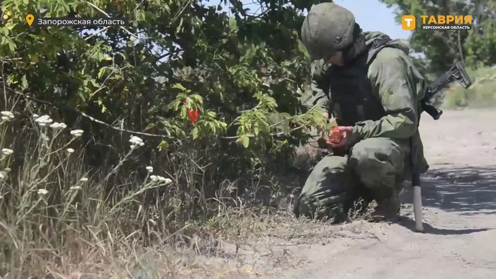 ������ ����������� ����� "�����" � ����������� ������� ������������ � ���������� ���������� ��� ���������� ������������