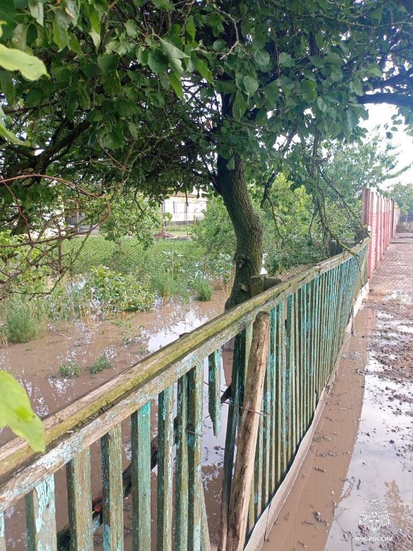 ���� � �������� ��� ������ ������������� ����������� ��������� �������